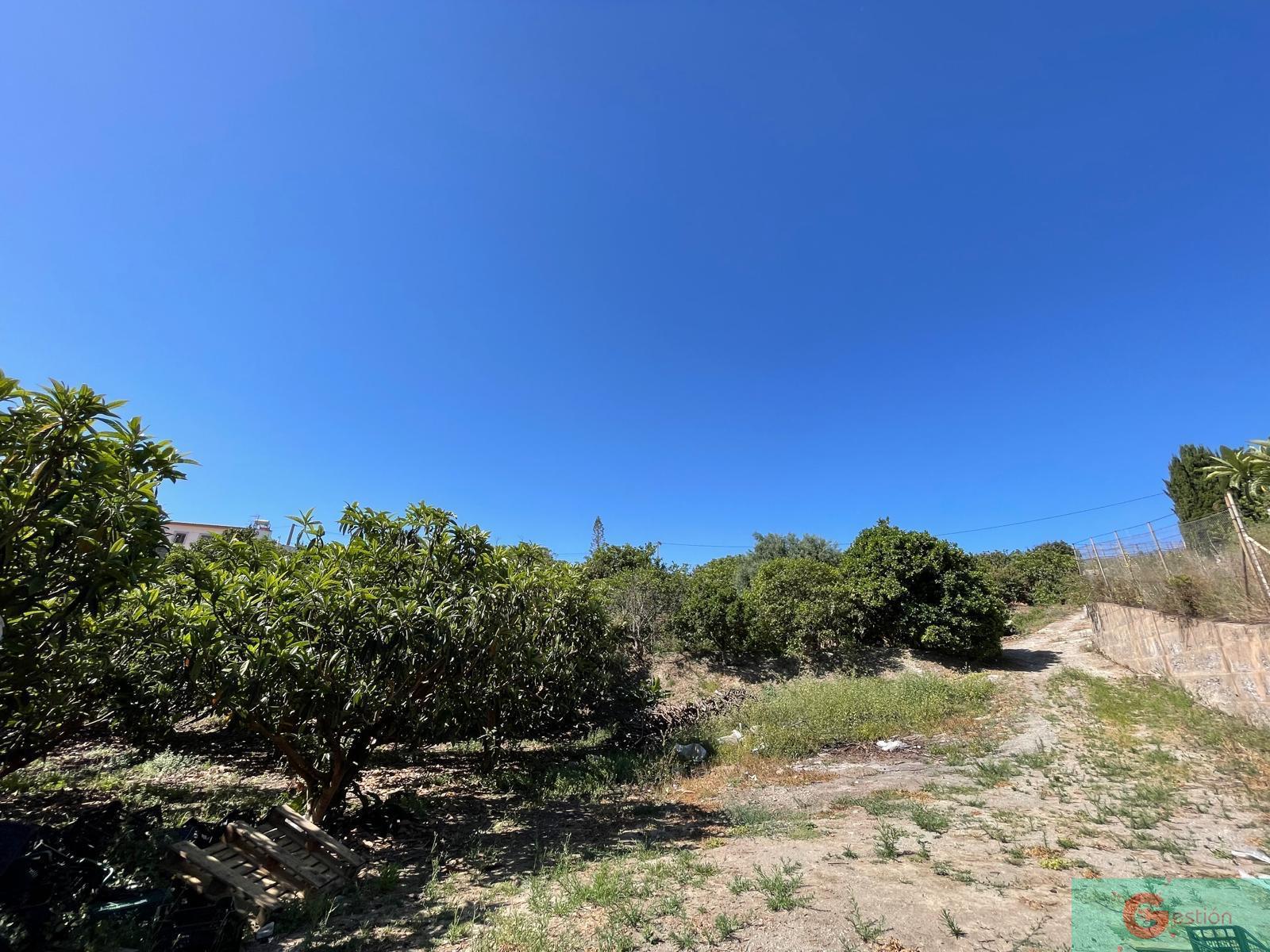Venta de finca rústica en Salobreña