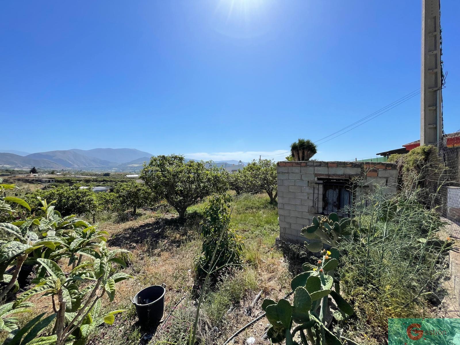Venta de finca rústica en Salobreña