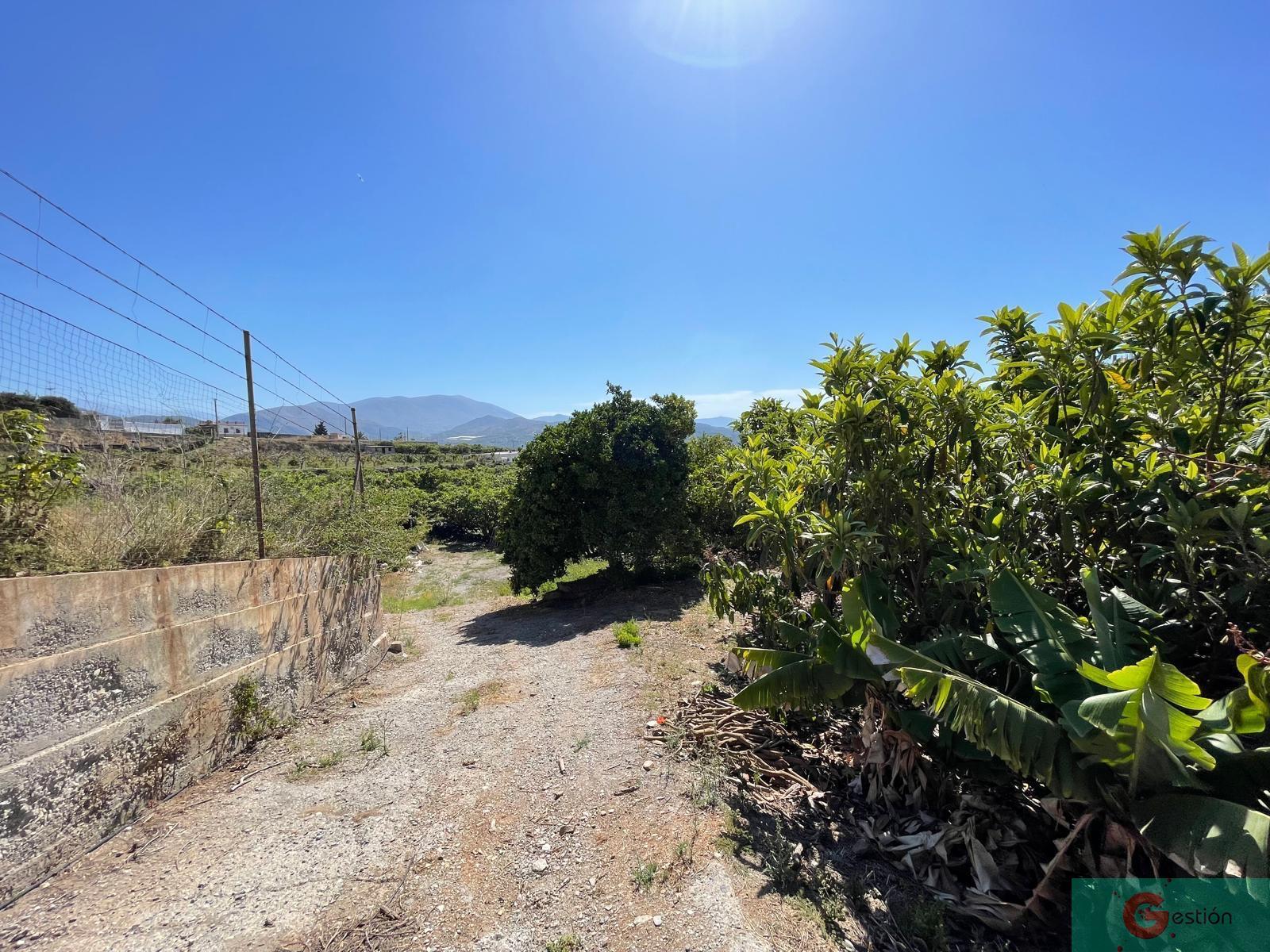 Venta de finca rústica en Salobreña