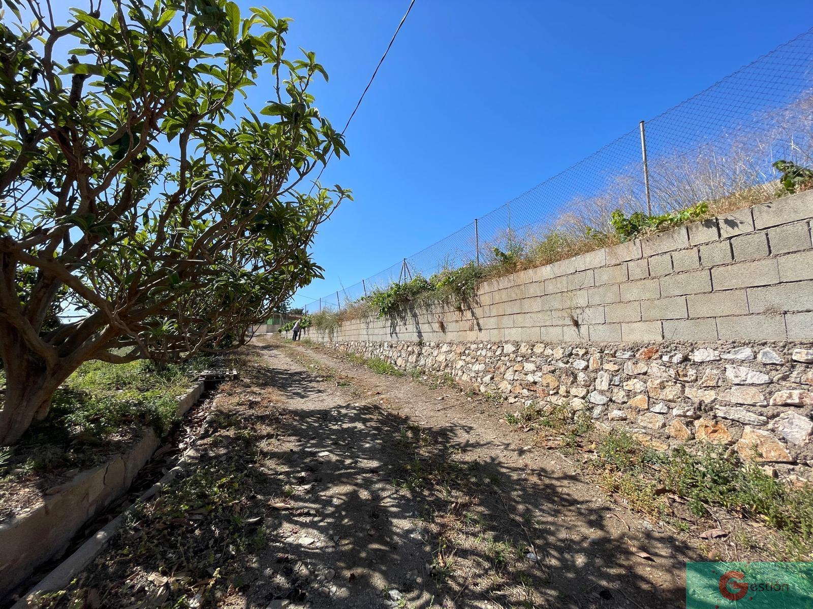 Venta de finca rústica en Salobreña