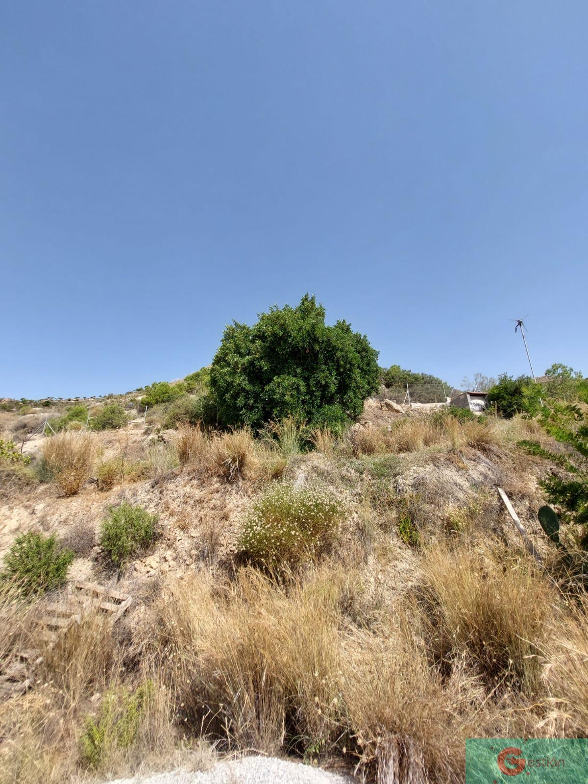 For sale of recreation property in Molvízar