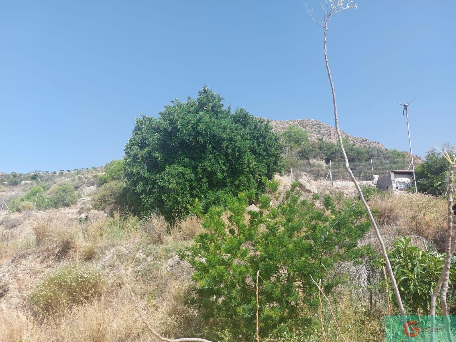 For sale of recreation property in Molvízar