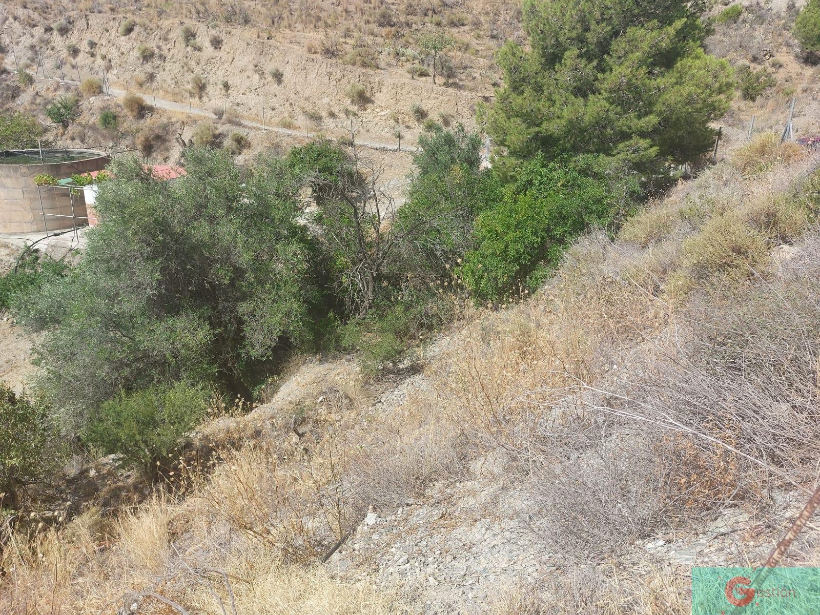 For sale of recreation property in Molvízar