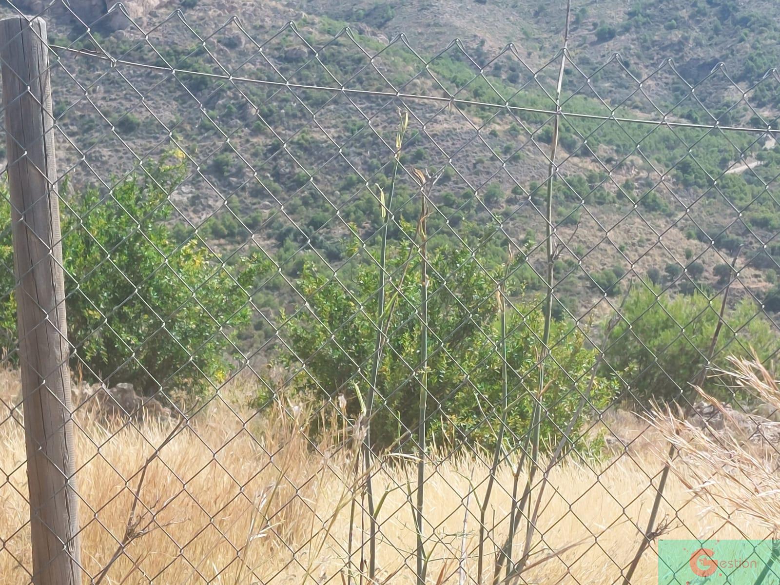 For sale of recreation property in Molvízar