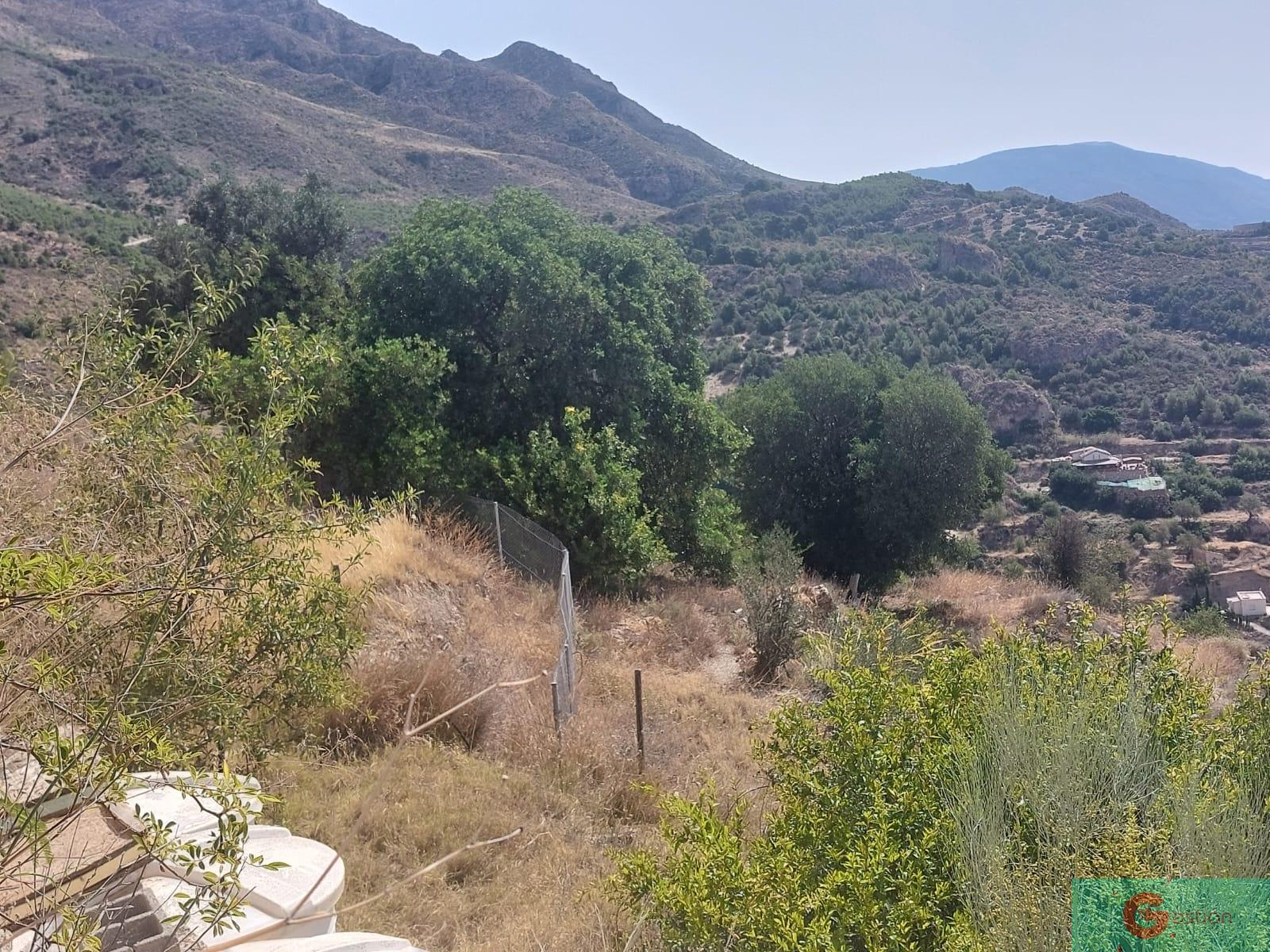For sale of recreation property in Molvízar