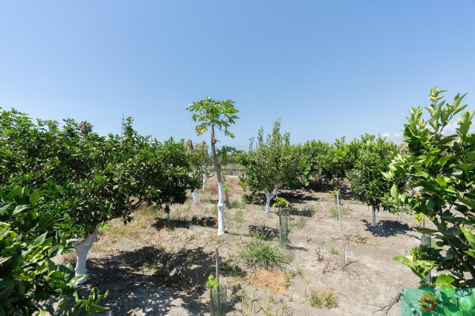 For sale of flat in Motril