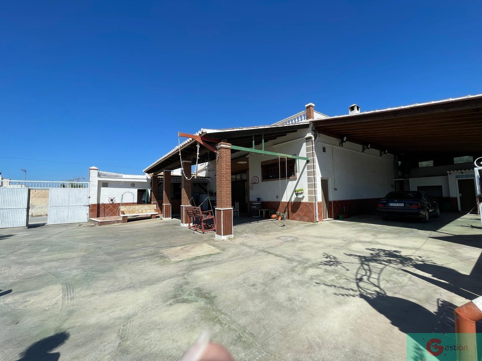 For sale of rural property in Motril