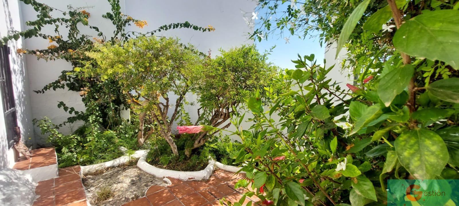 For sale of house in Salobreña