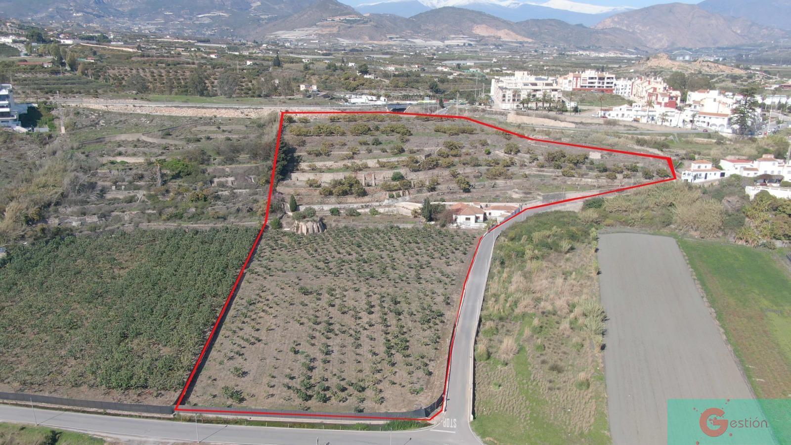 For sale of rural property in Salobreña