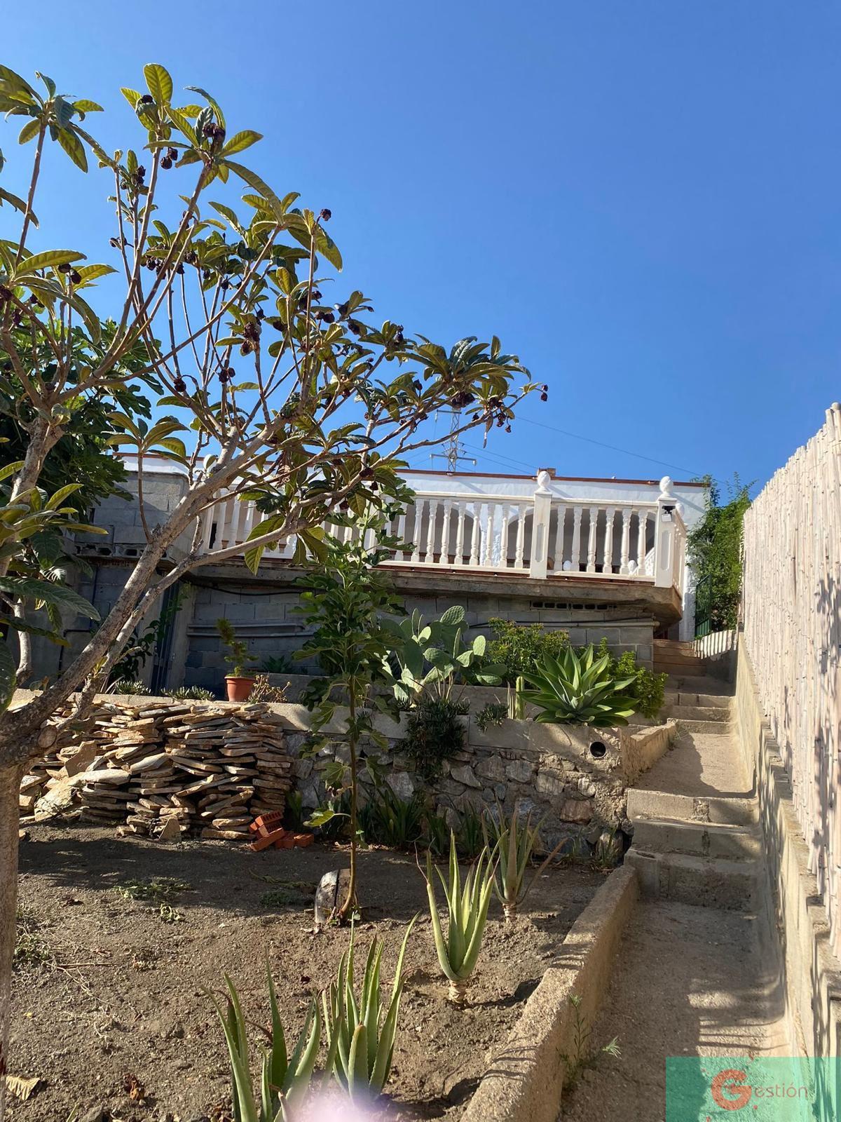 Venta de finca rústica en Salobreña