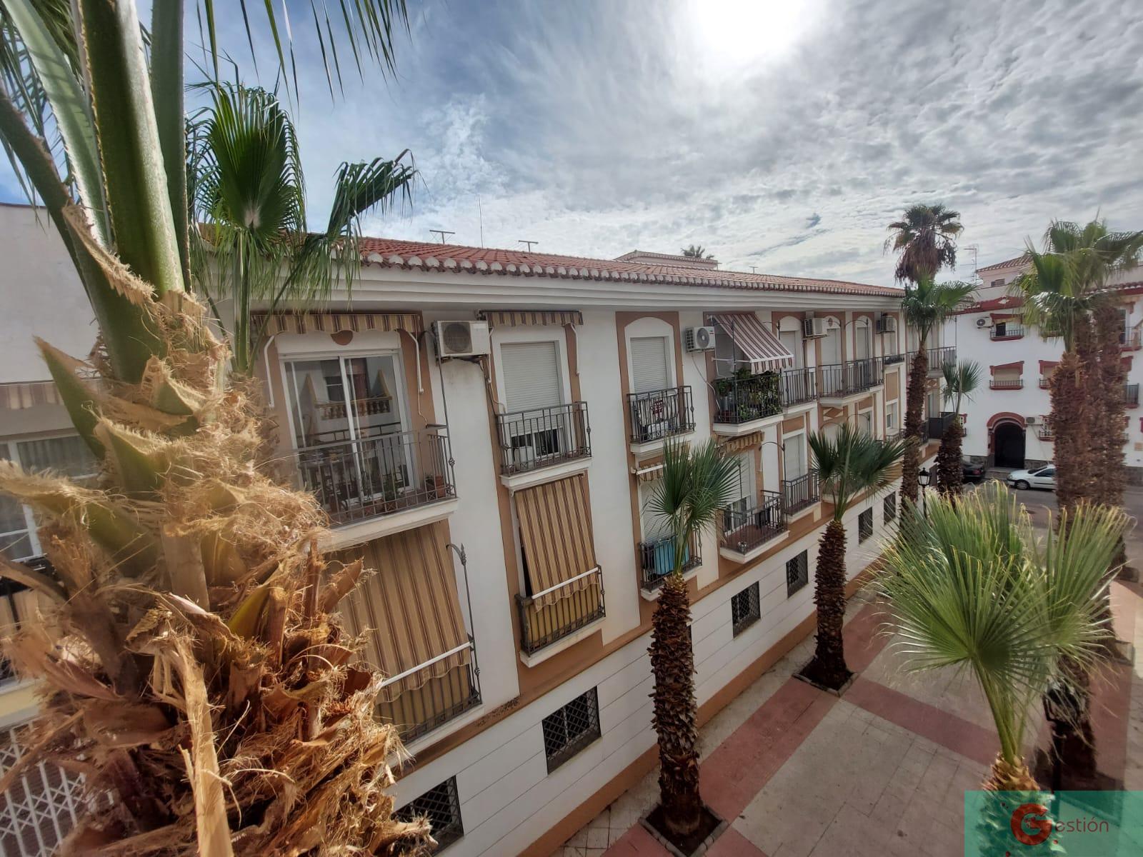 For sale of flat in Salobreña