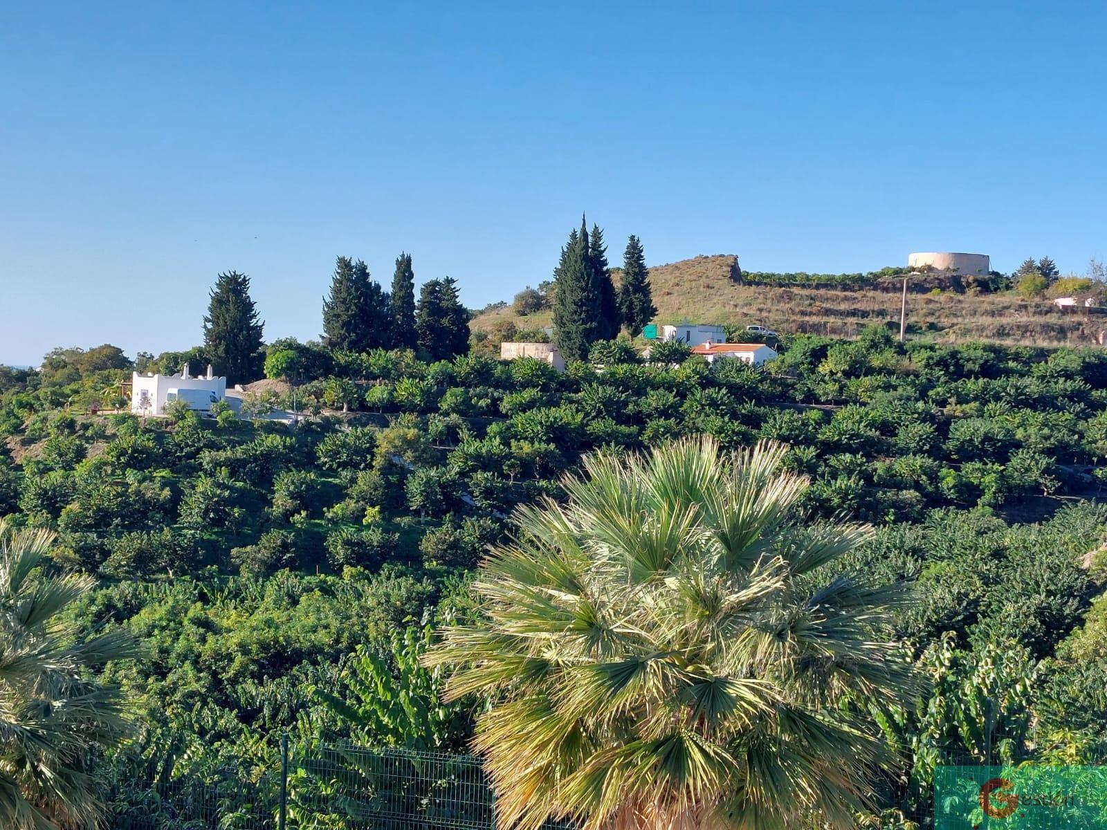 For sale of rural property in Salobreña