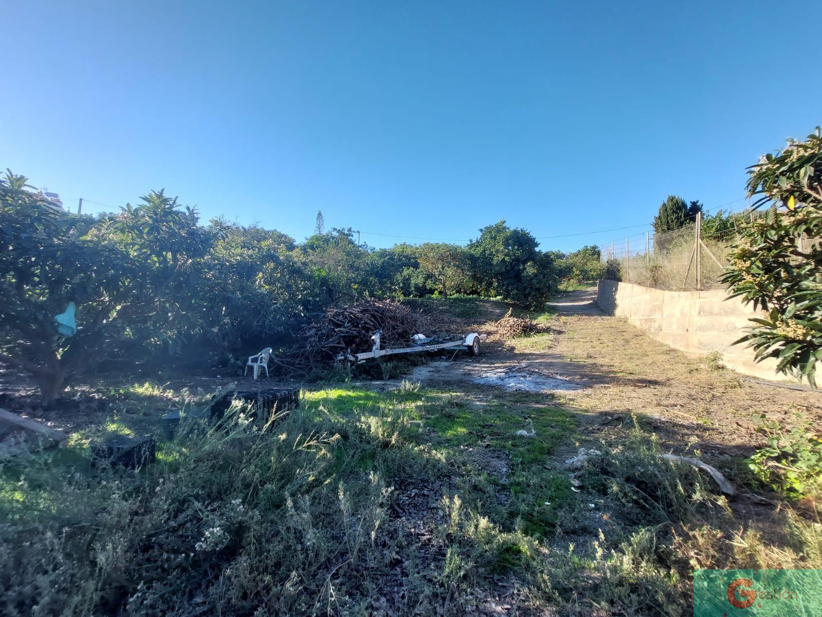For sale of rural property in Salobreña