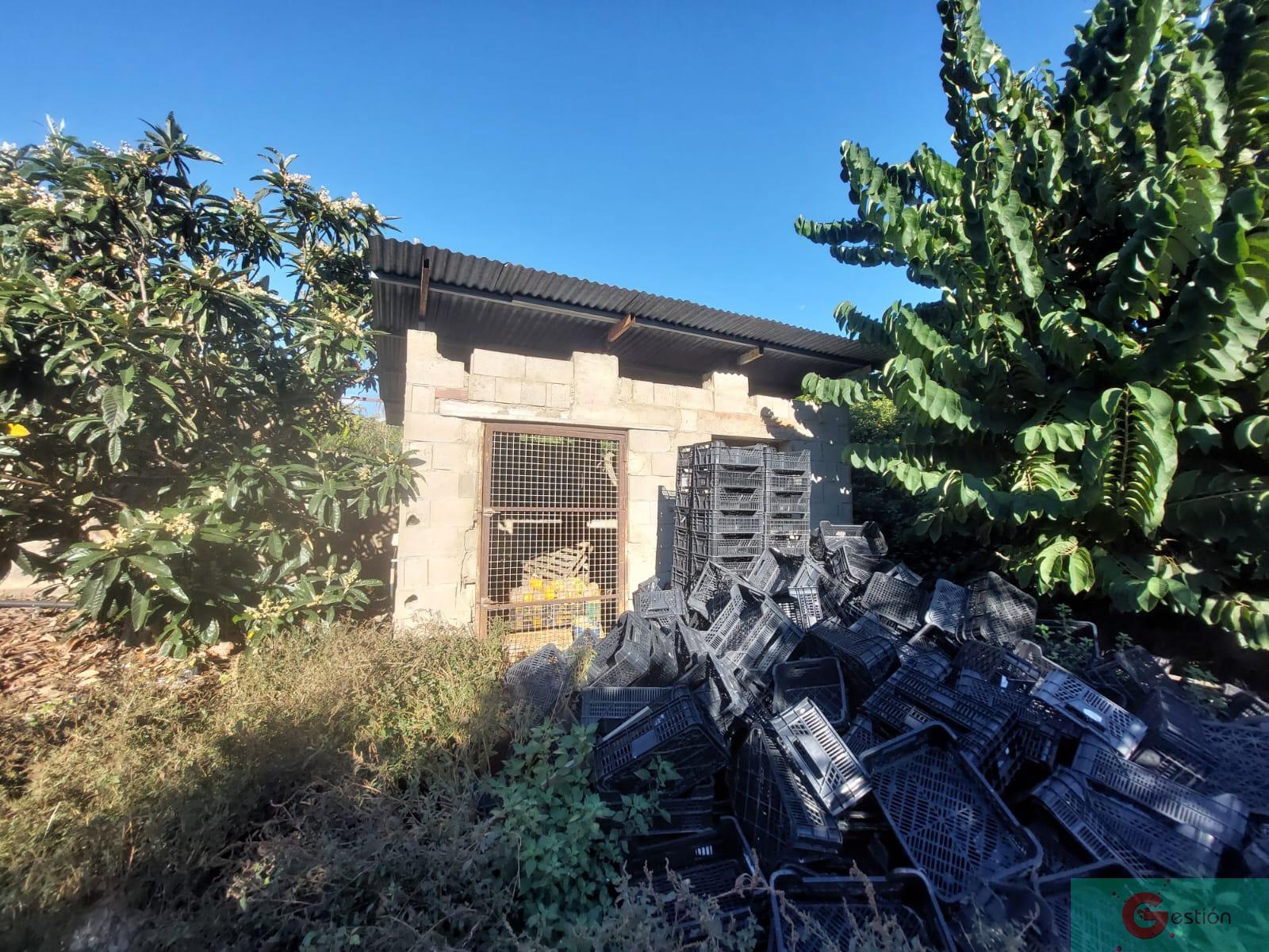 For sale of rural property in Salobreña