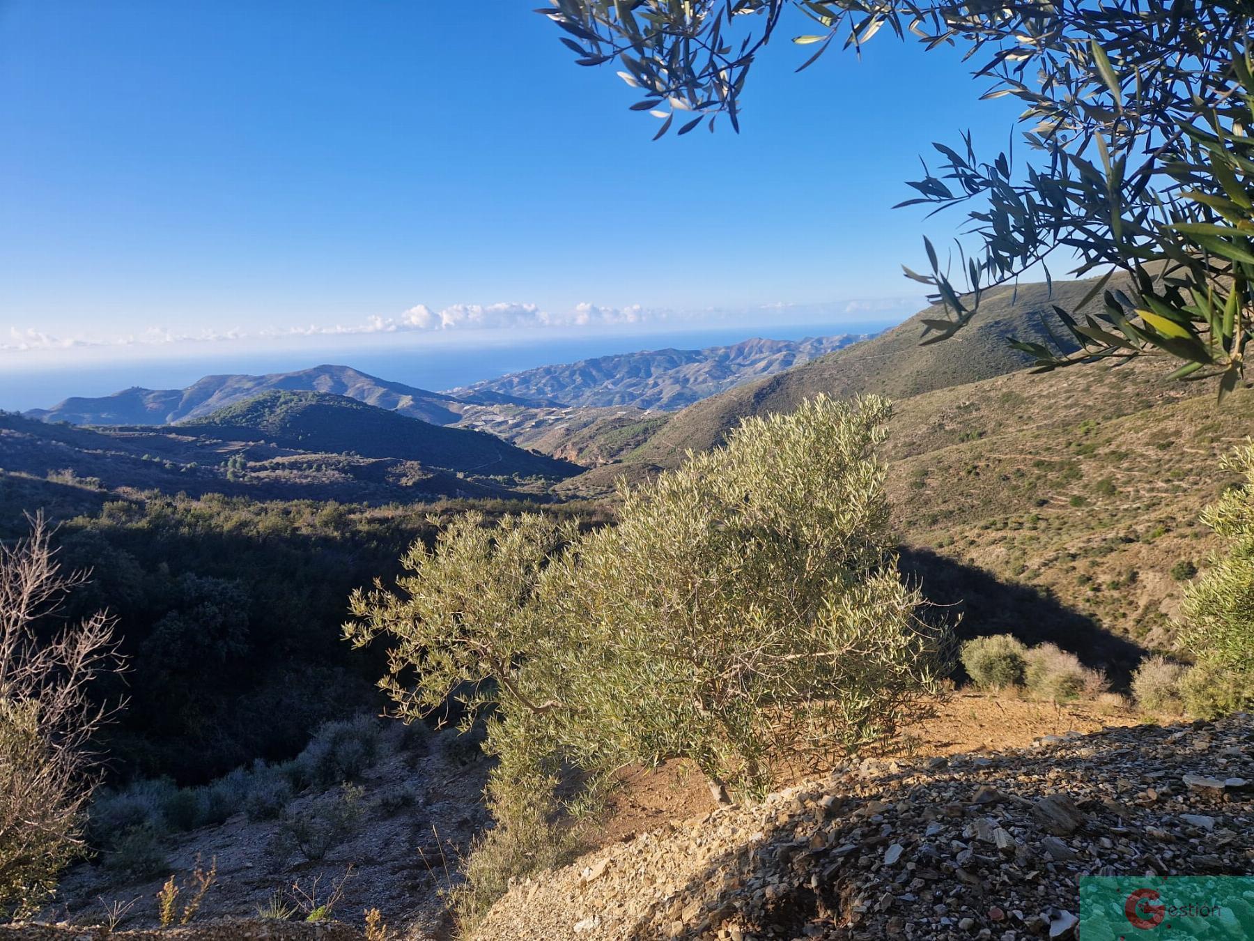 For sale of rural property in Molvízar
