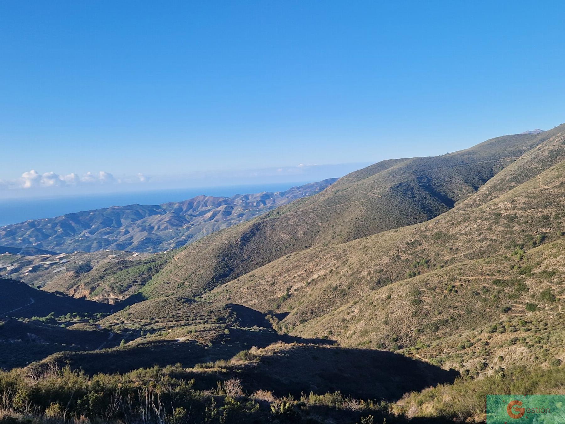 For sale of rural property in Molvízar