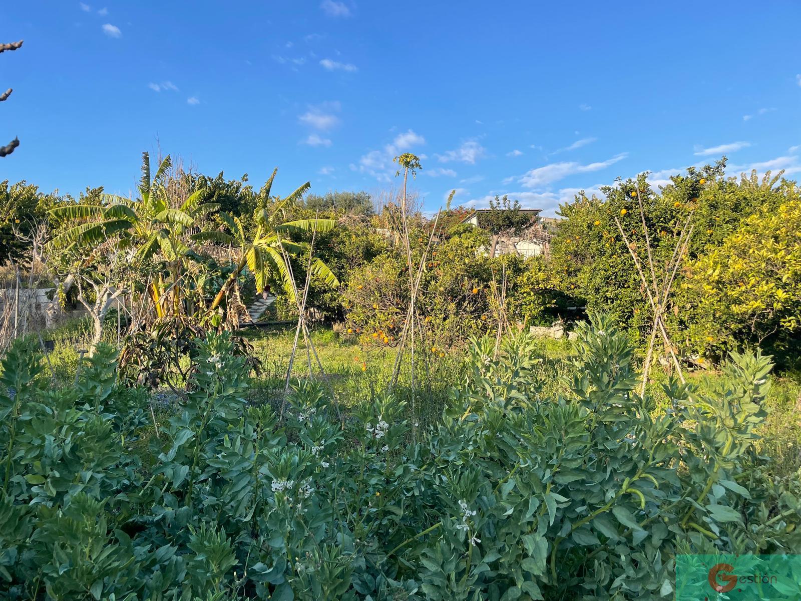 For sale of rural property in Salobreña