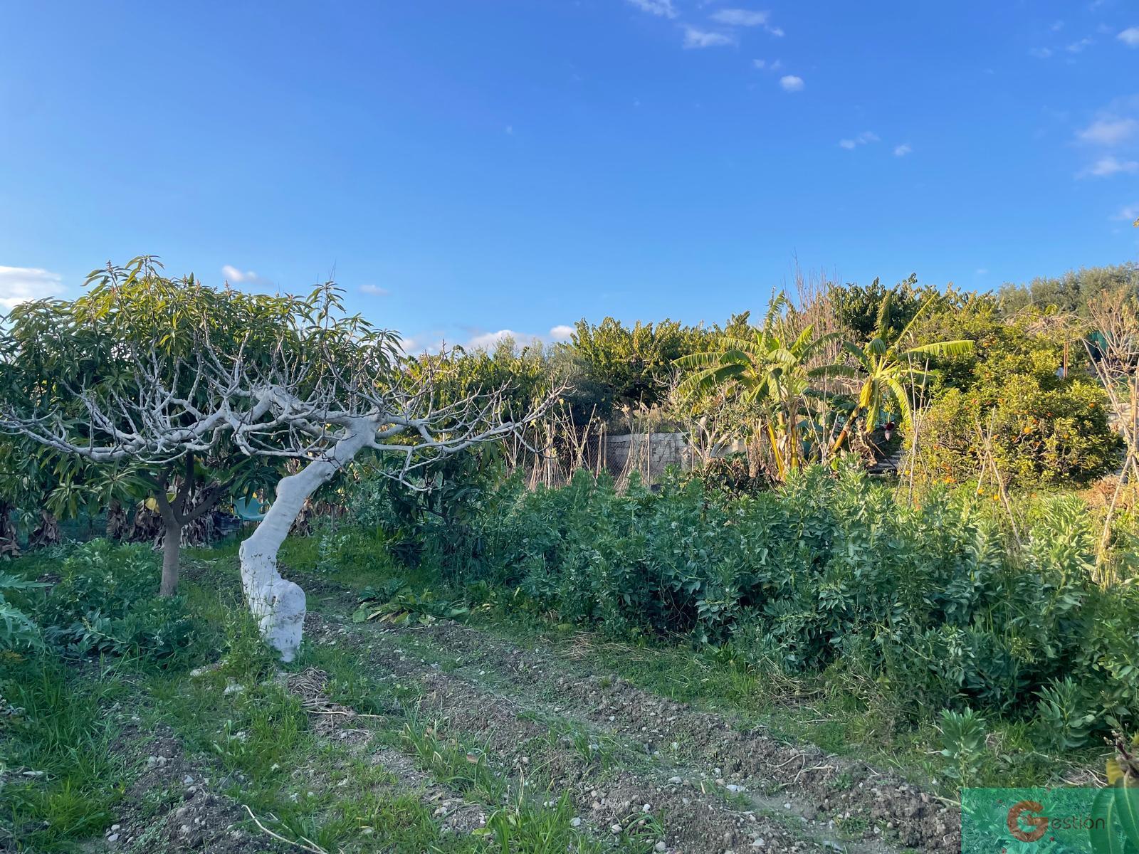 For sale of rural property in Salobreña