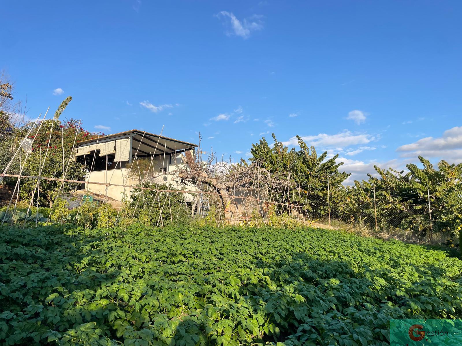 For sale of rural property in Salobreña