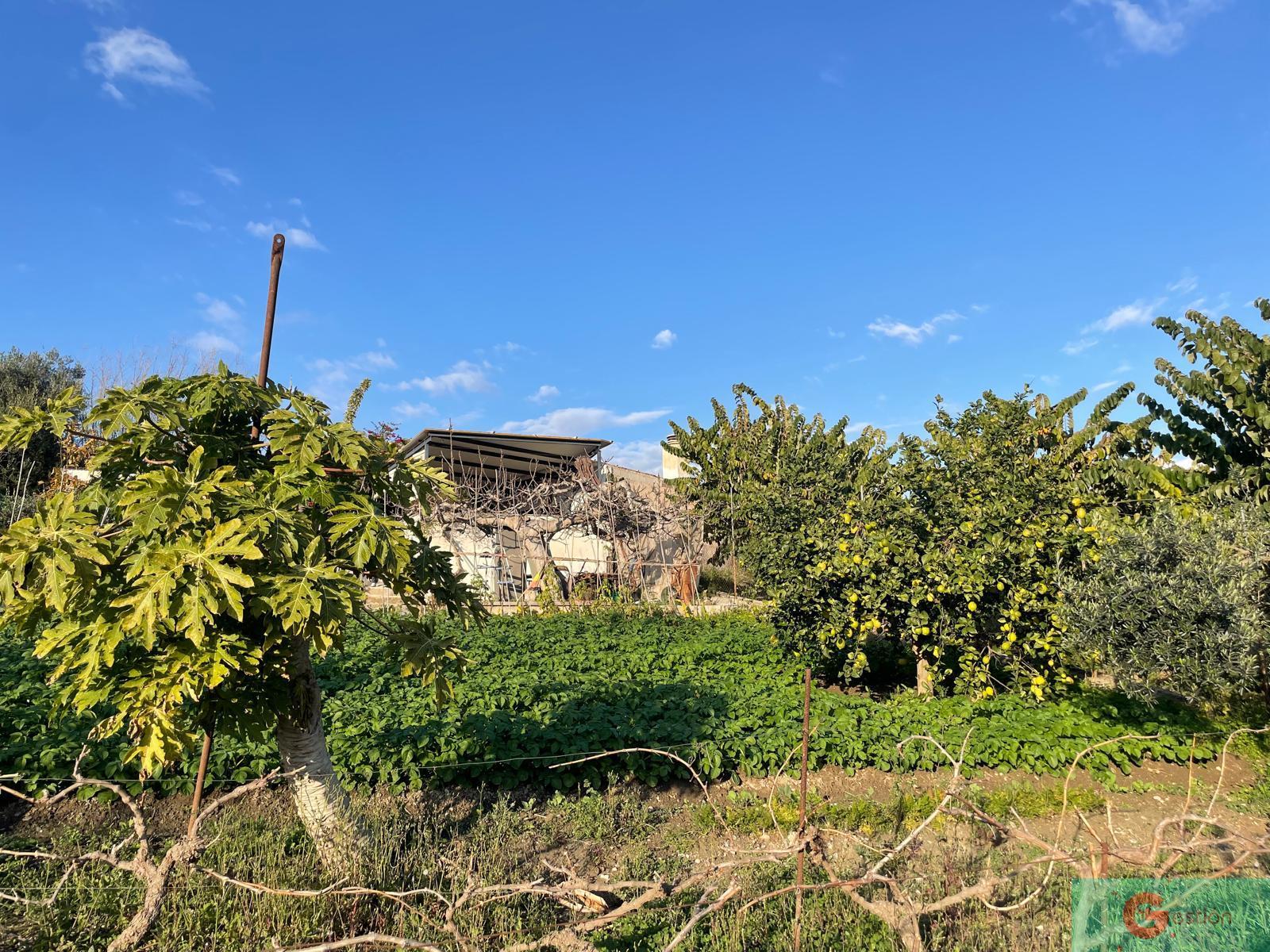 For sale of rural property in Salobreña