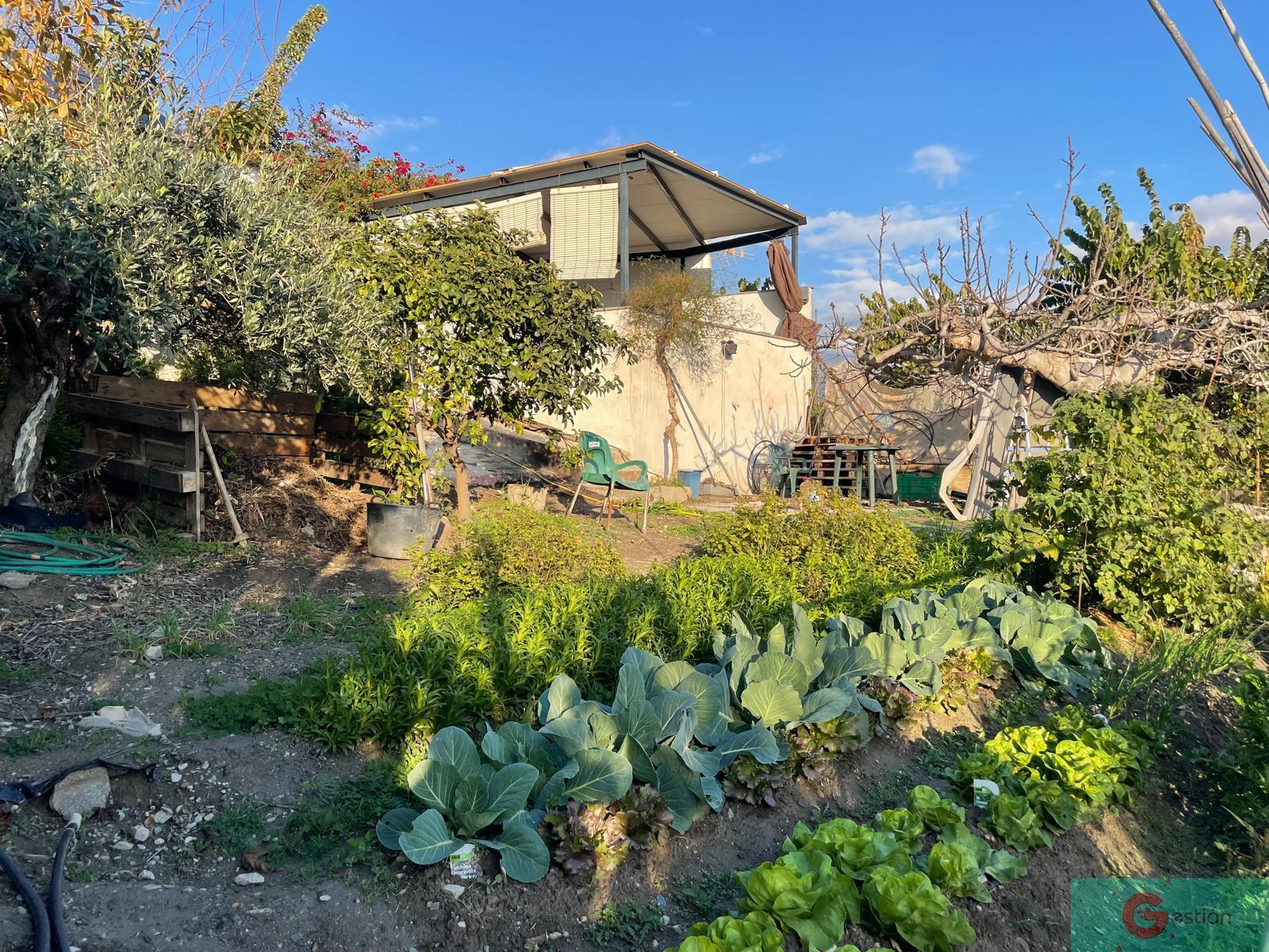 For sale of rural property in Salobreña