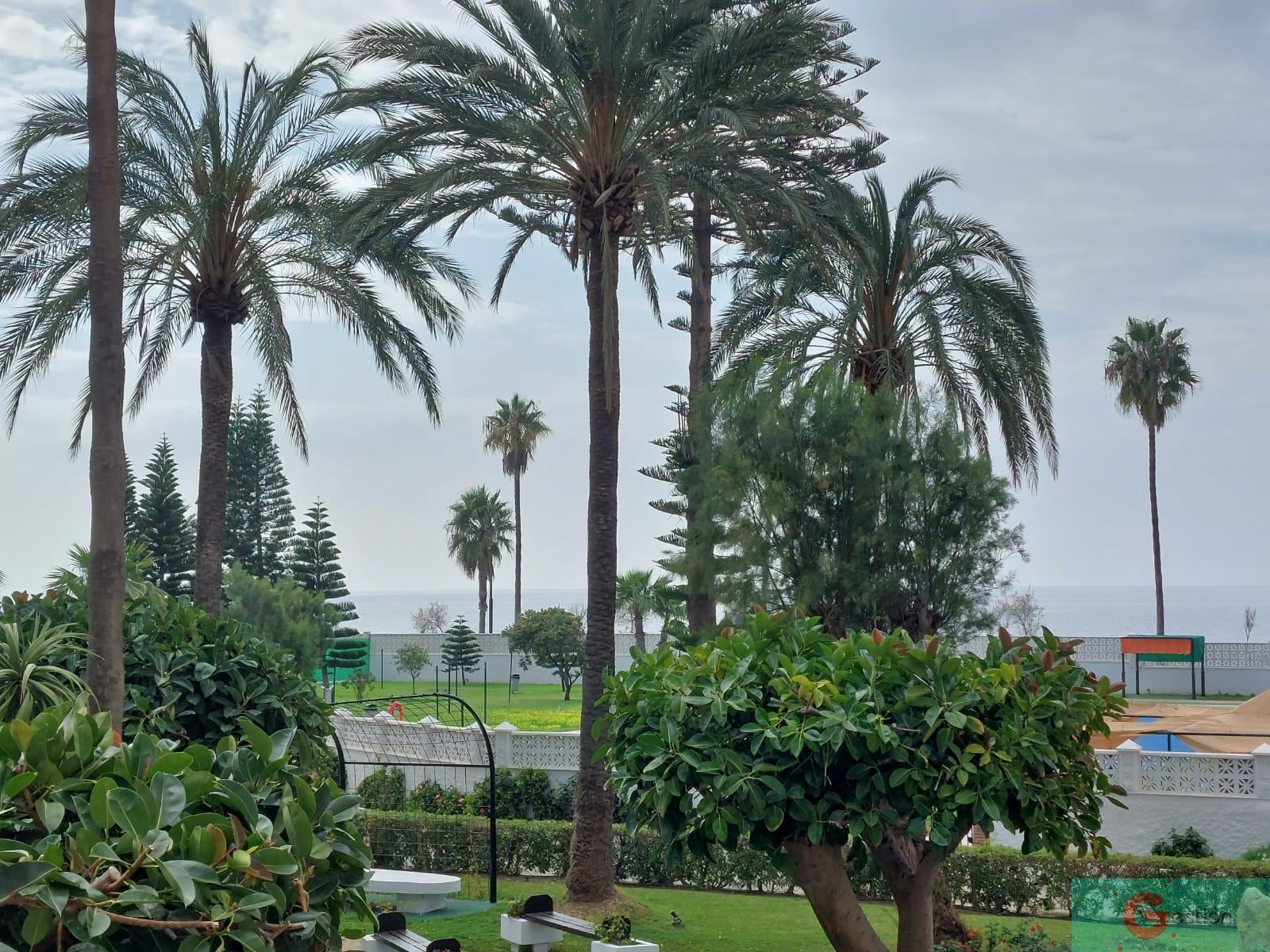 For sale of apartment in Salobreña