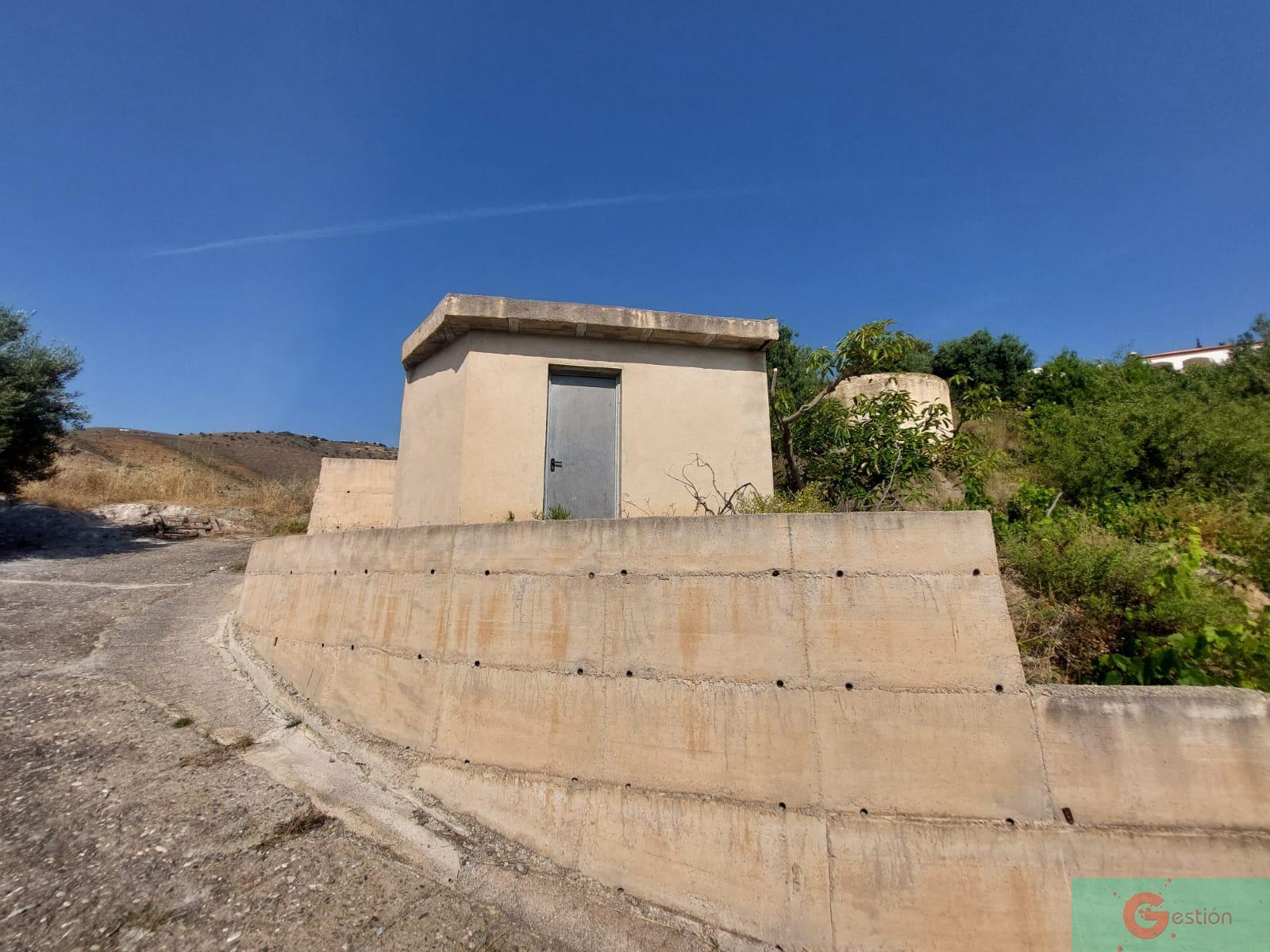 Venta de finca rústica en Salobreña