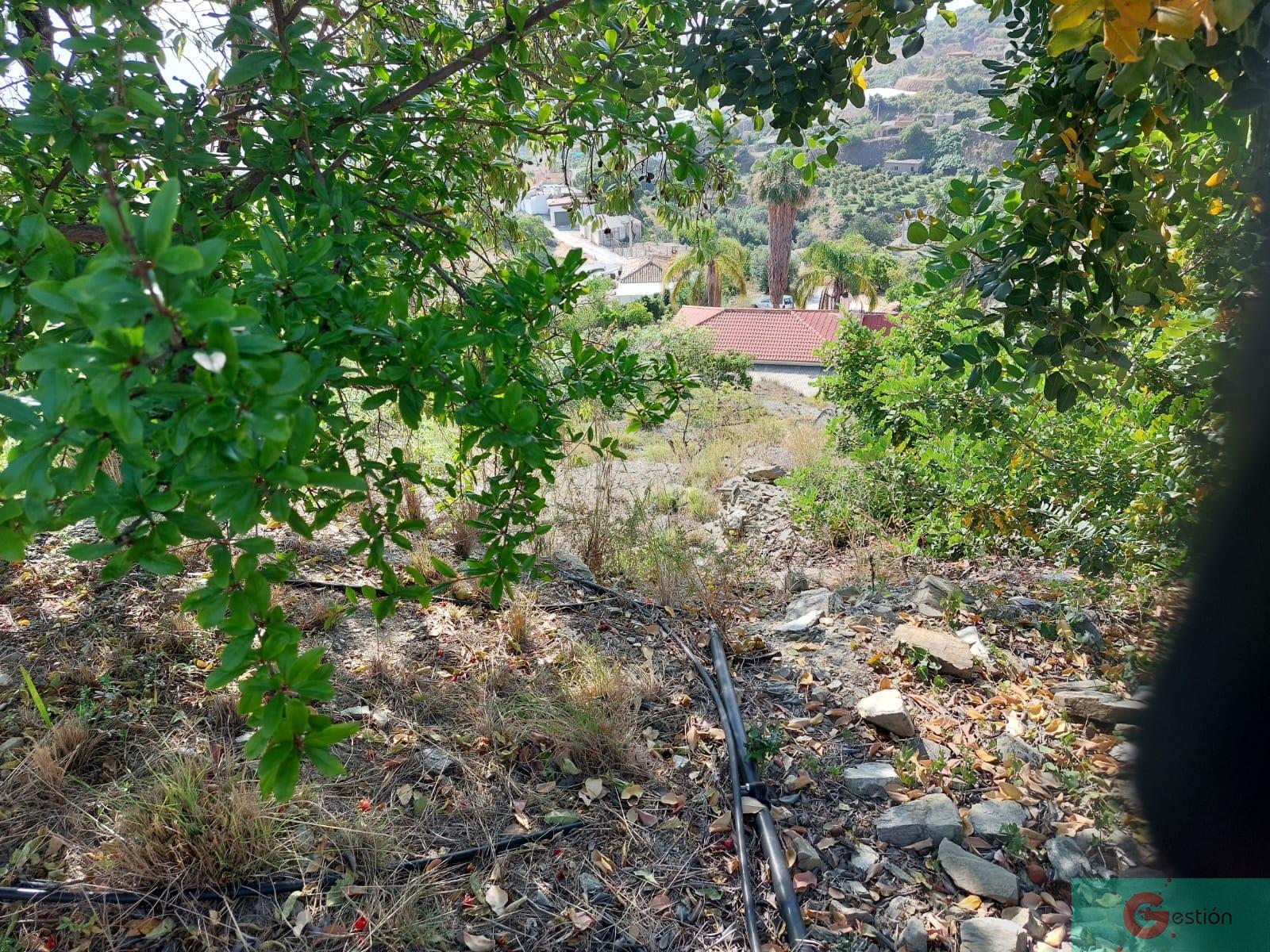 Venta de finca rústica en Salobreña