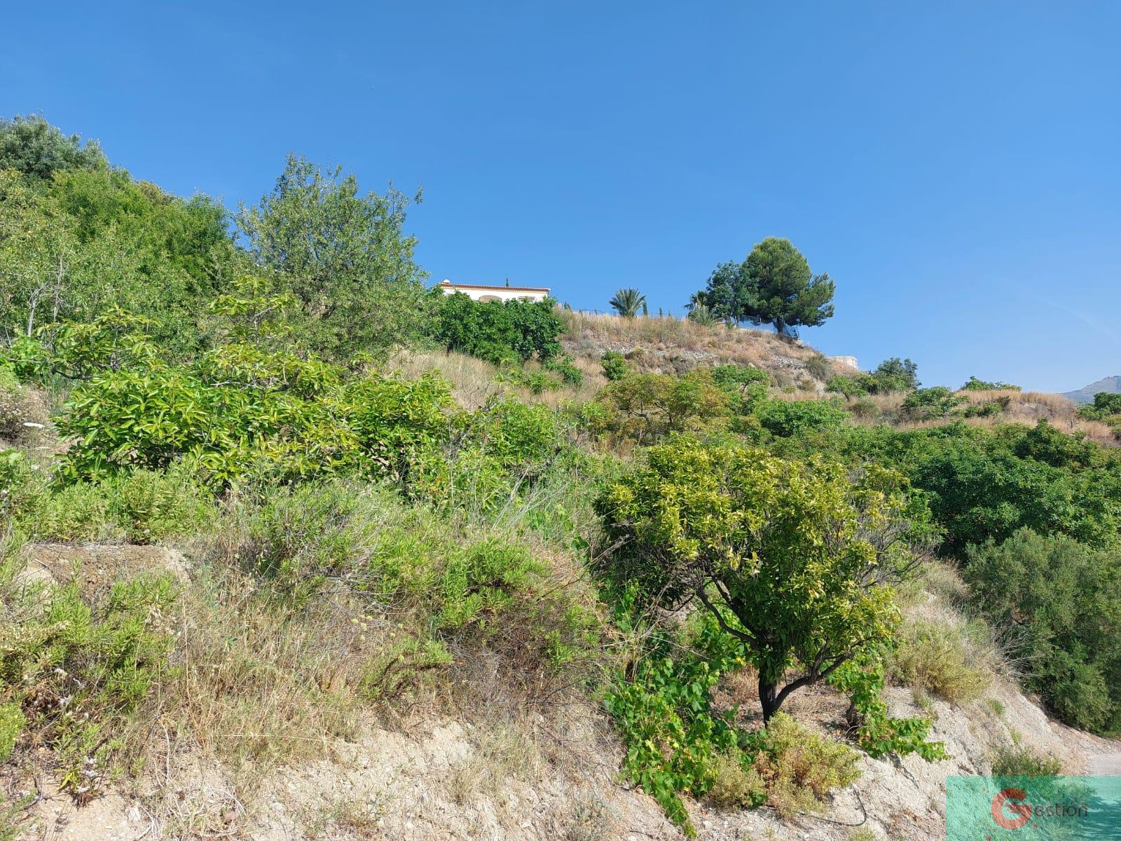 Venta de finca rústica en Salobreña
