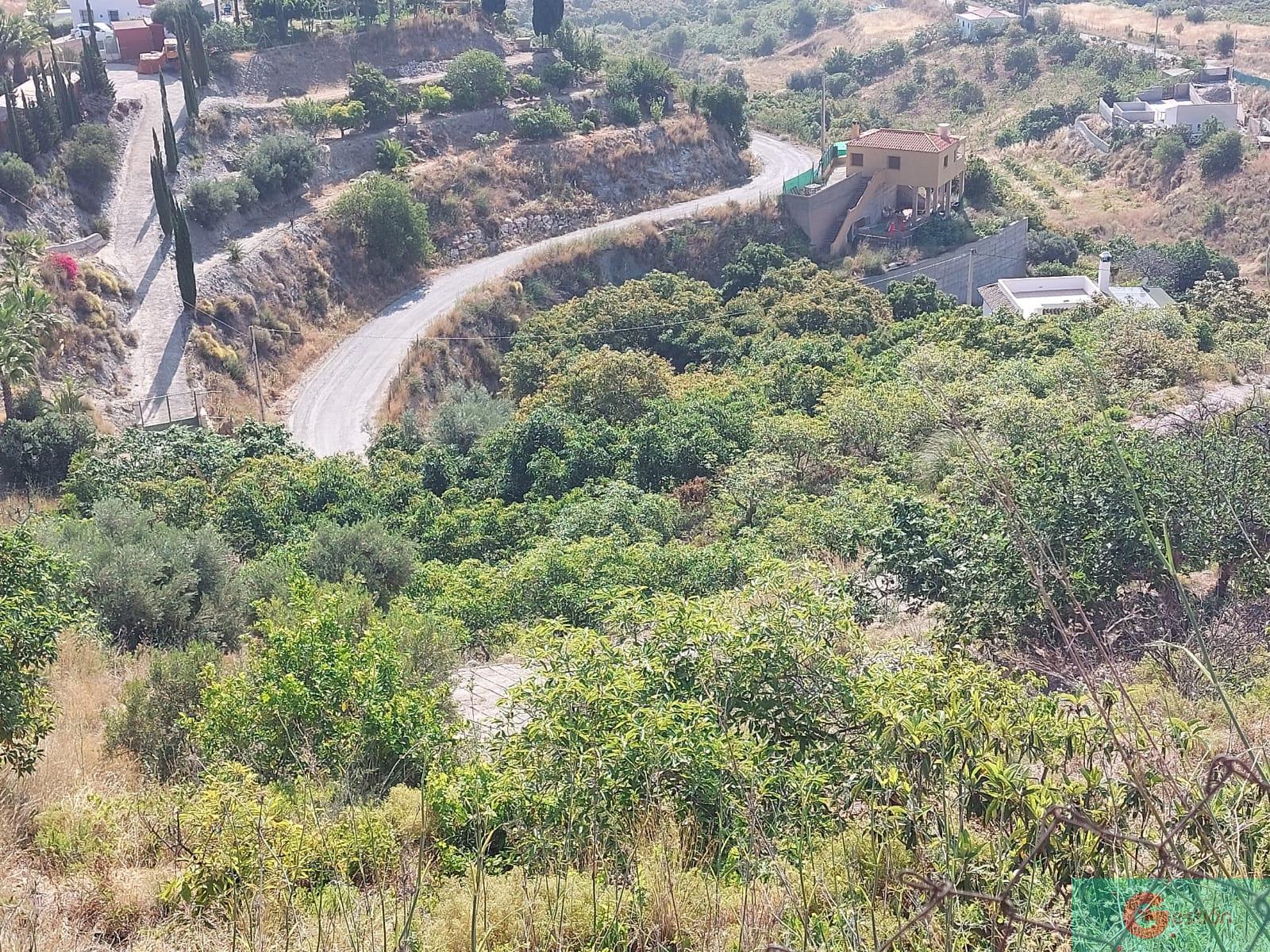 Venta de finca rústica en Salobreña