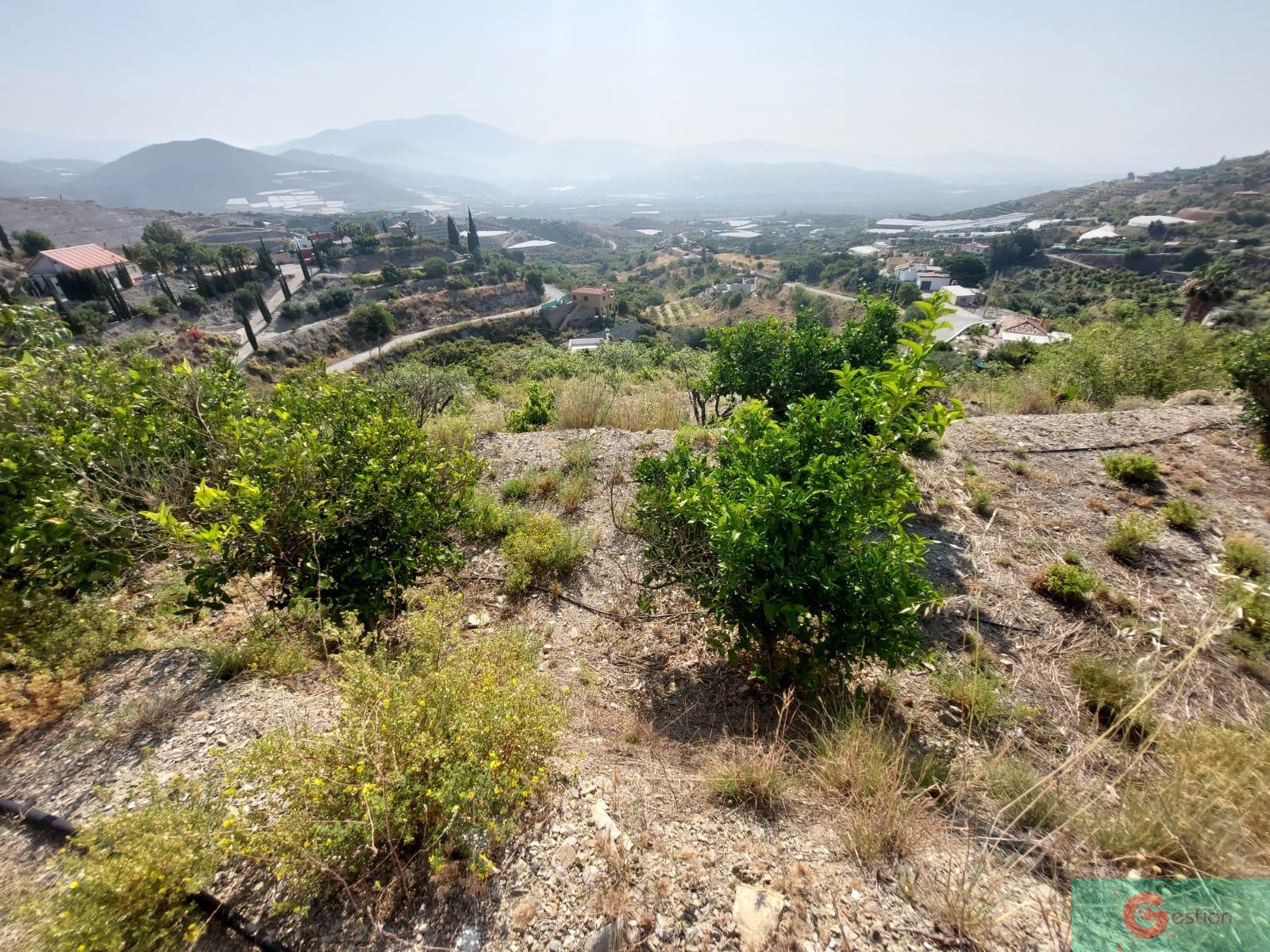 Venta de finca rústica en Salobreña