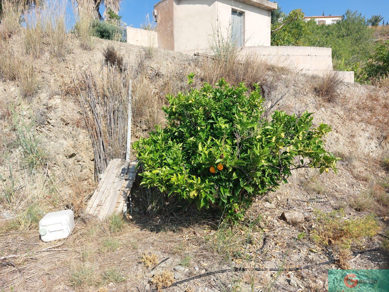 Venta de finca rústica en Salobreña