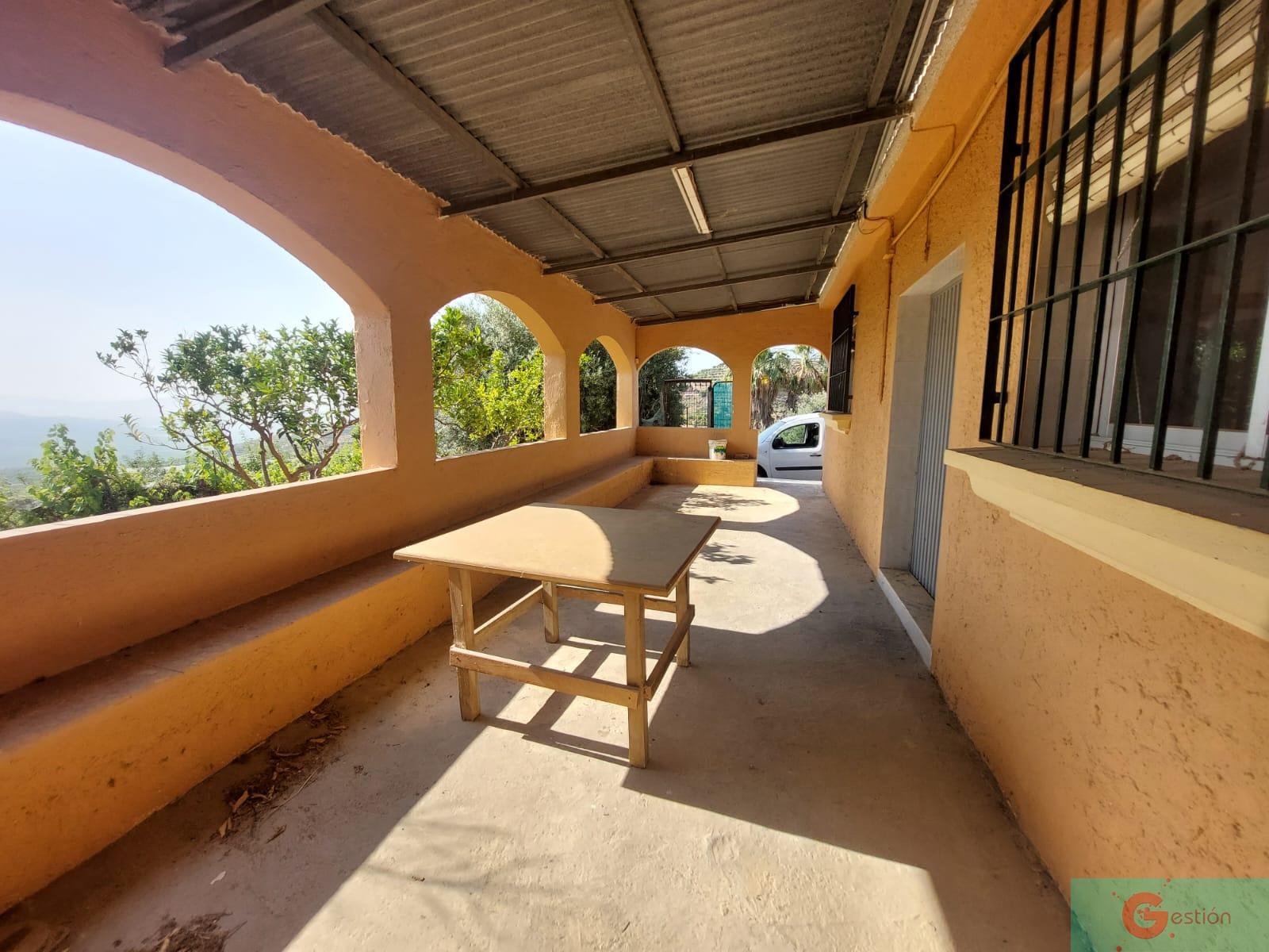 Venta de finca rústica en Salobreña