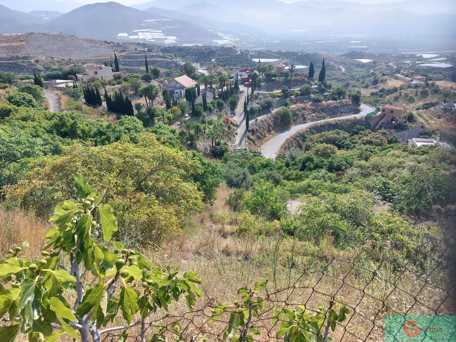 Venta de finca rústica en Salobreña