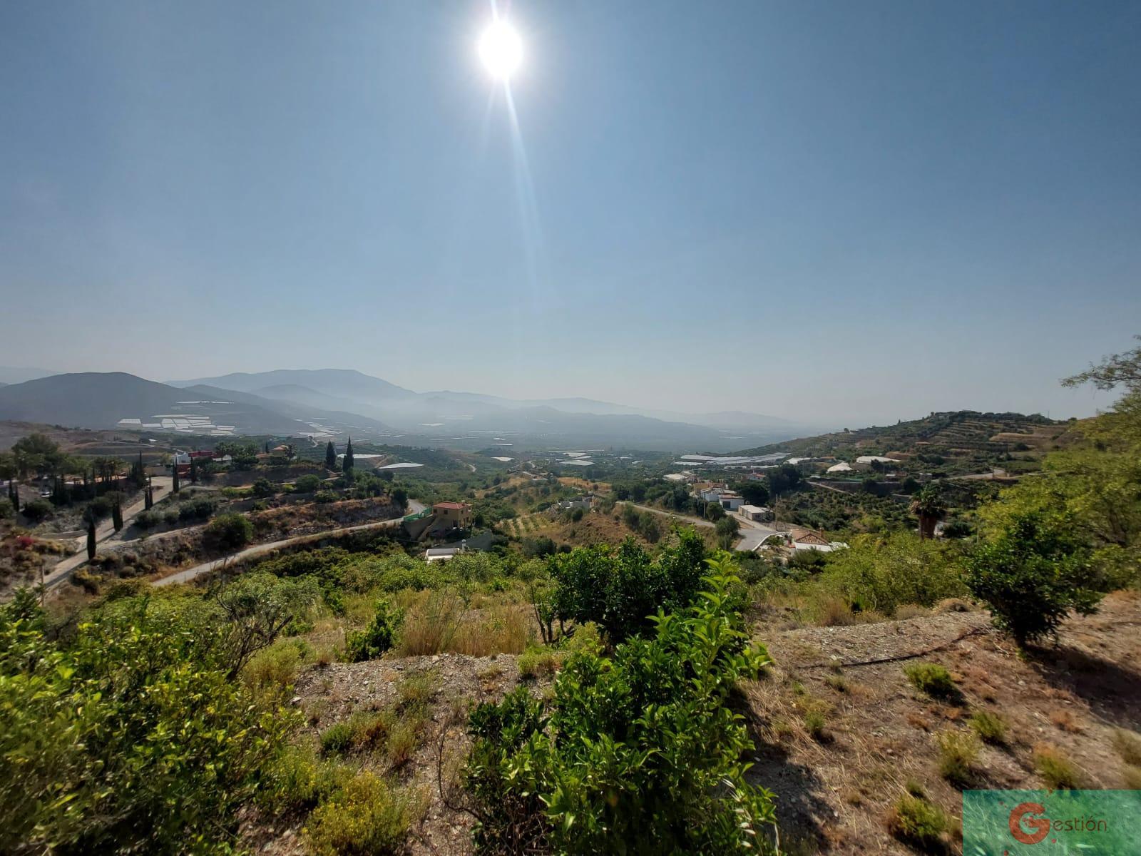 Venta de finca rústica en Salobreña