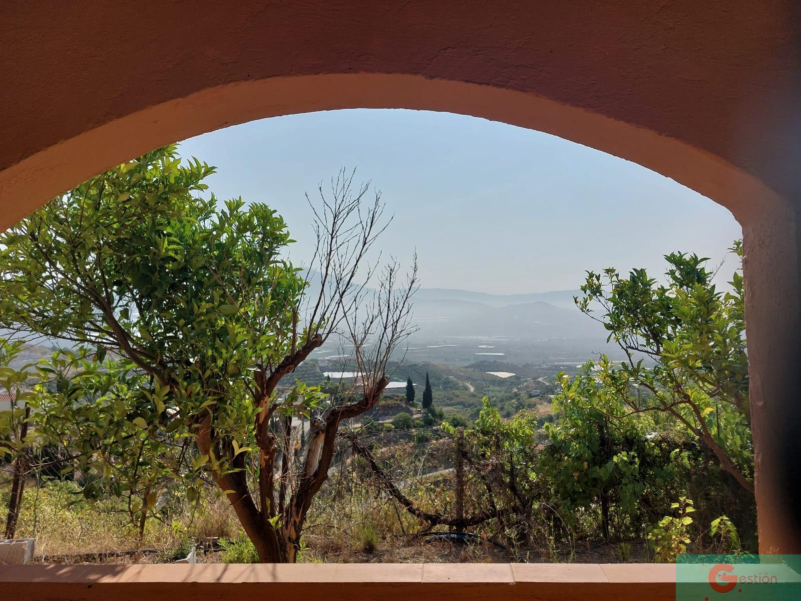 Venta de finca rústica en Salobreña