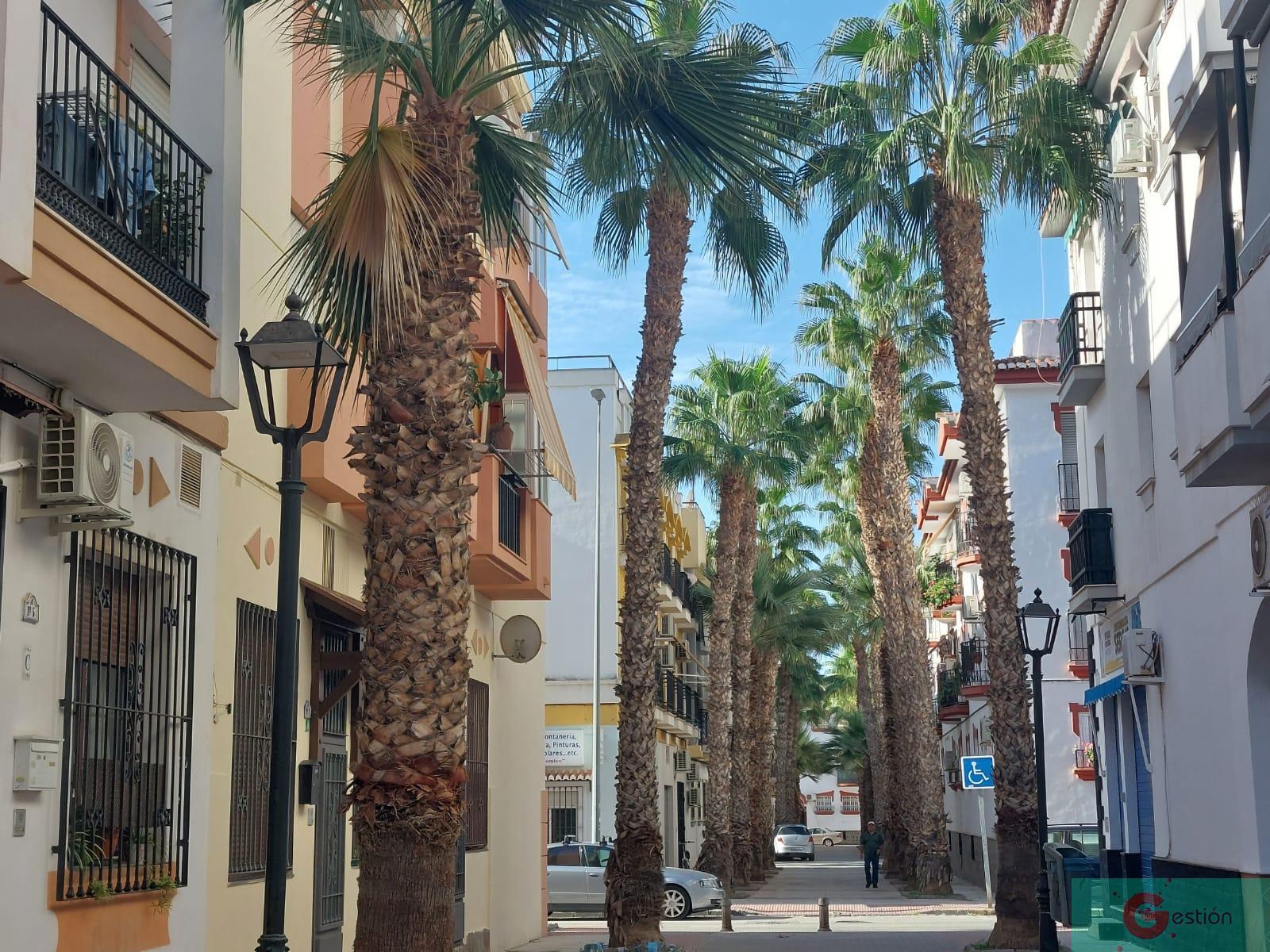 Venta de apartamento en Salobreña