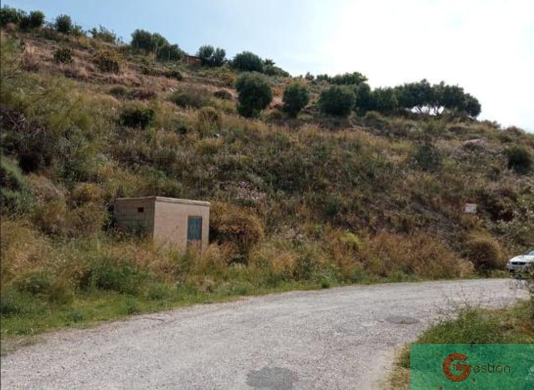Venta de finca rústica en Salobreña