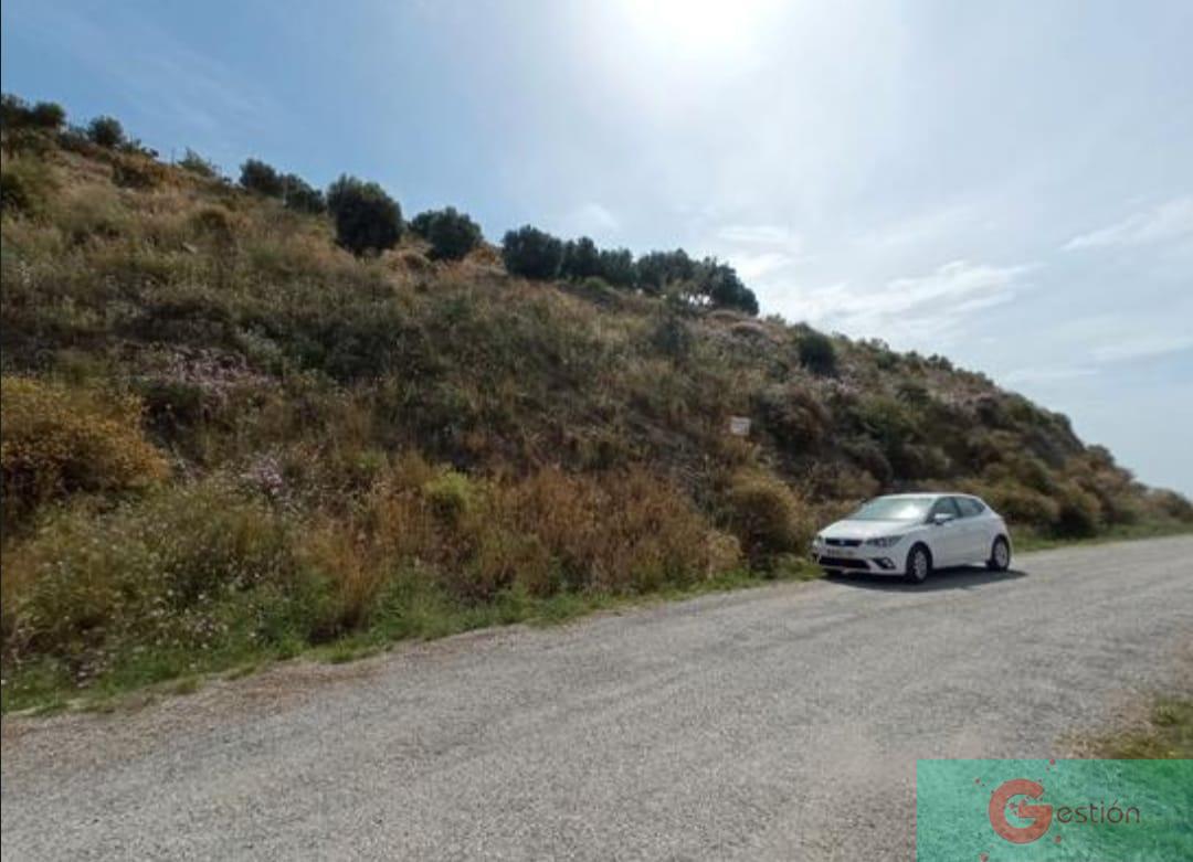 Venta de finca rústica en Salobreña