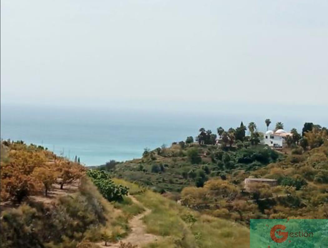 Venta de finca rústica en Salobreña