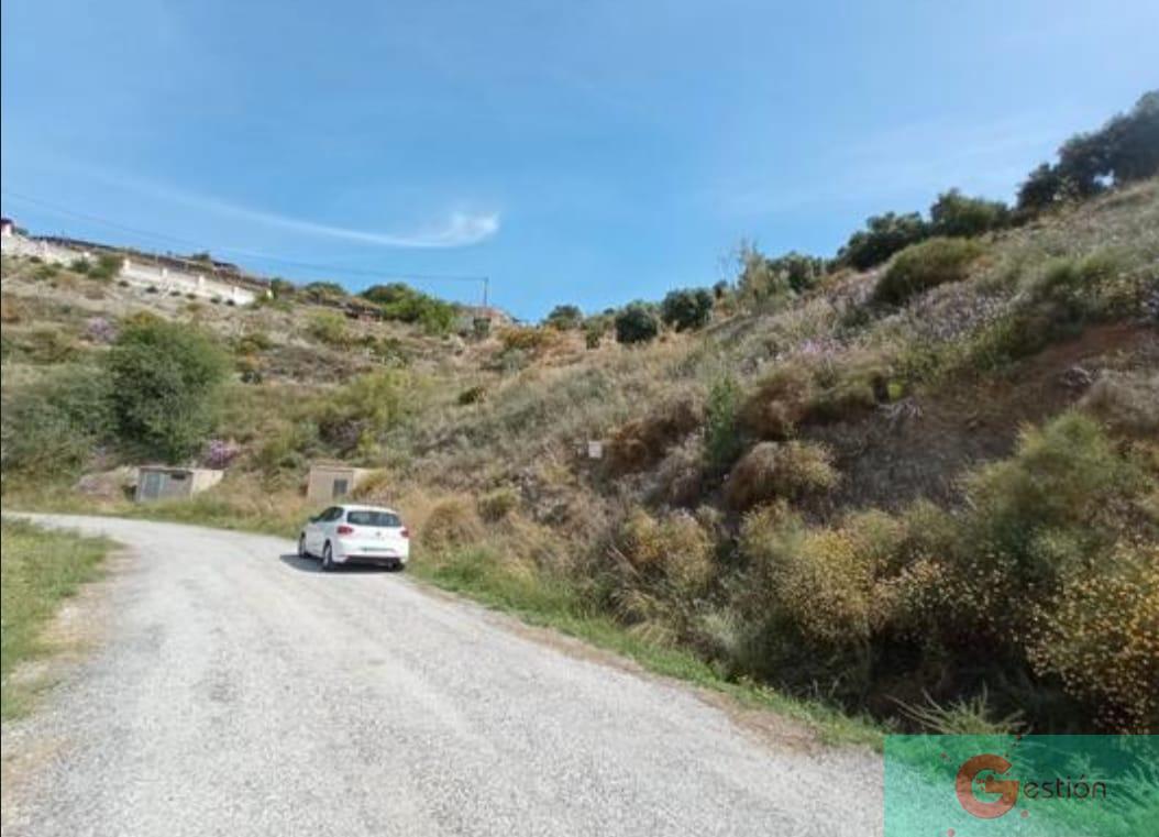 Venta de finca rústica en Salobreña