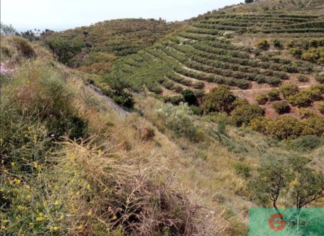 Venta de finca rústica en Salobreña
