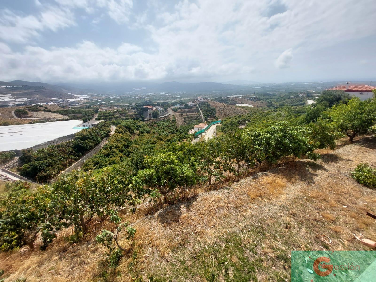 Venta de finca de recreo en Salobreña