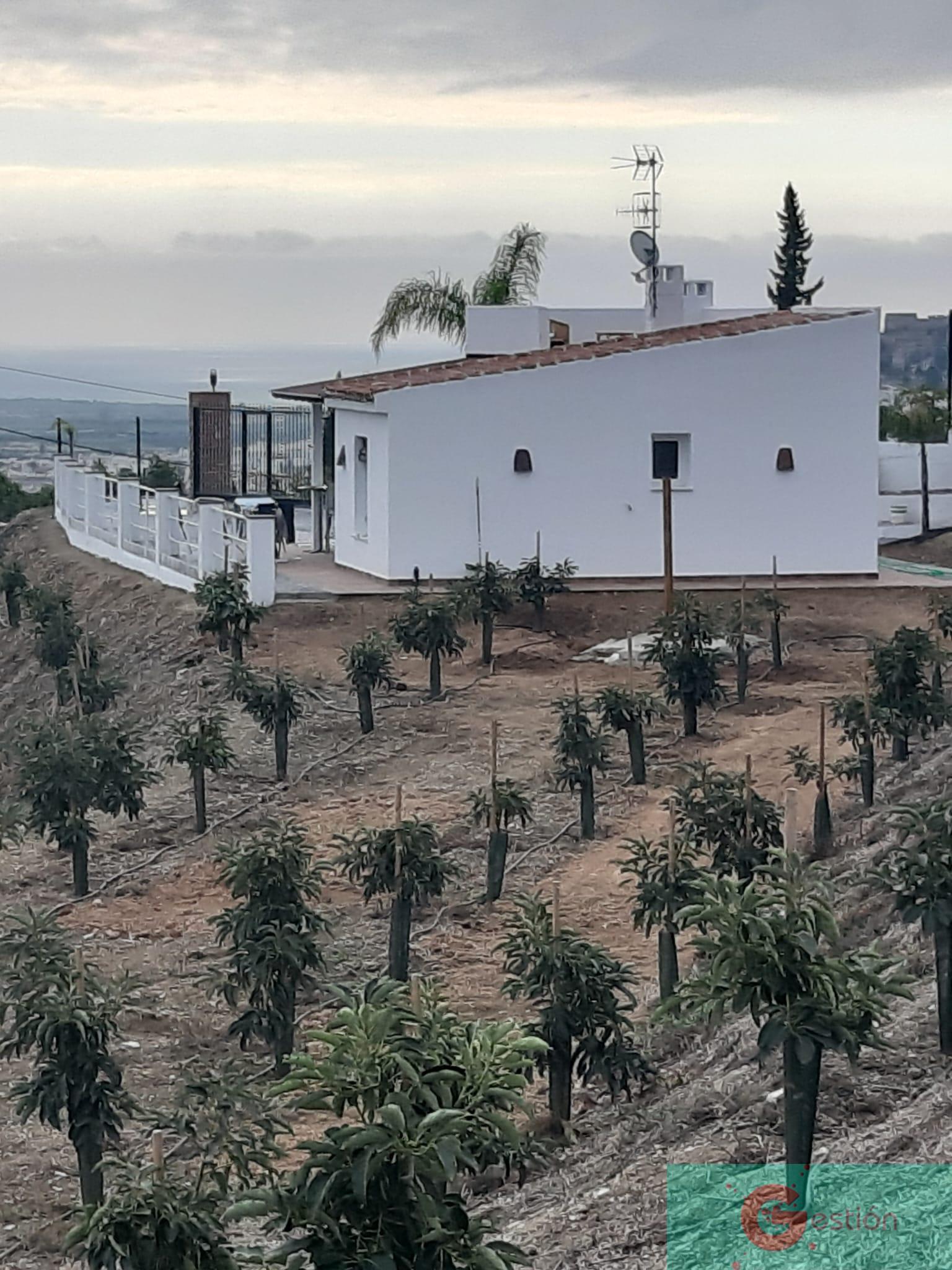 Venta de finca de recreo en Salobreña