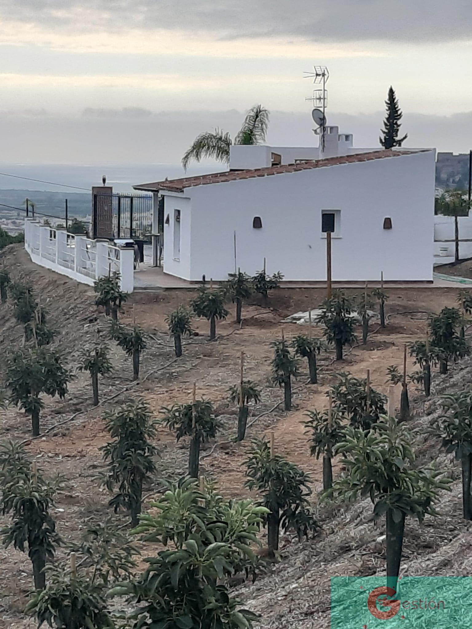 Venta de finca de recreo en Salobreña