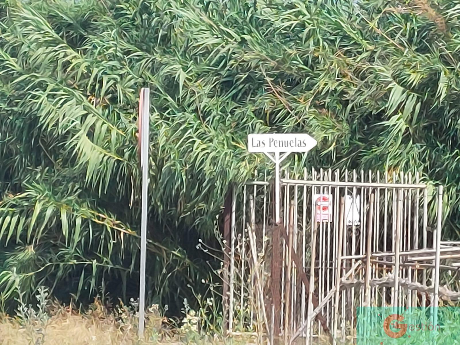 Venta de finca rústica en Motril