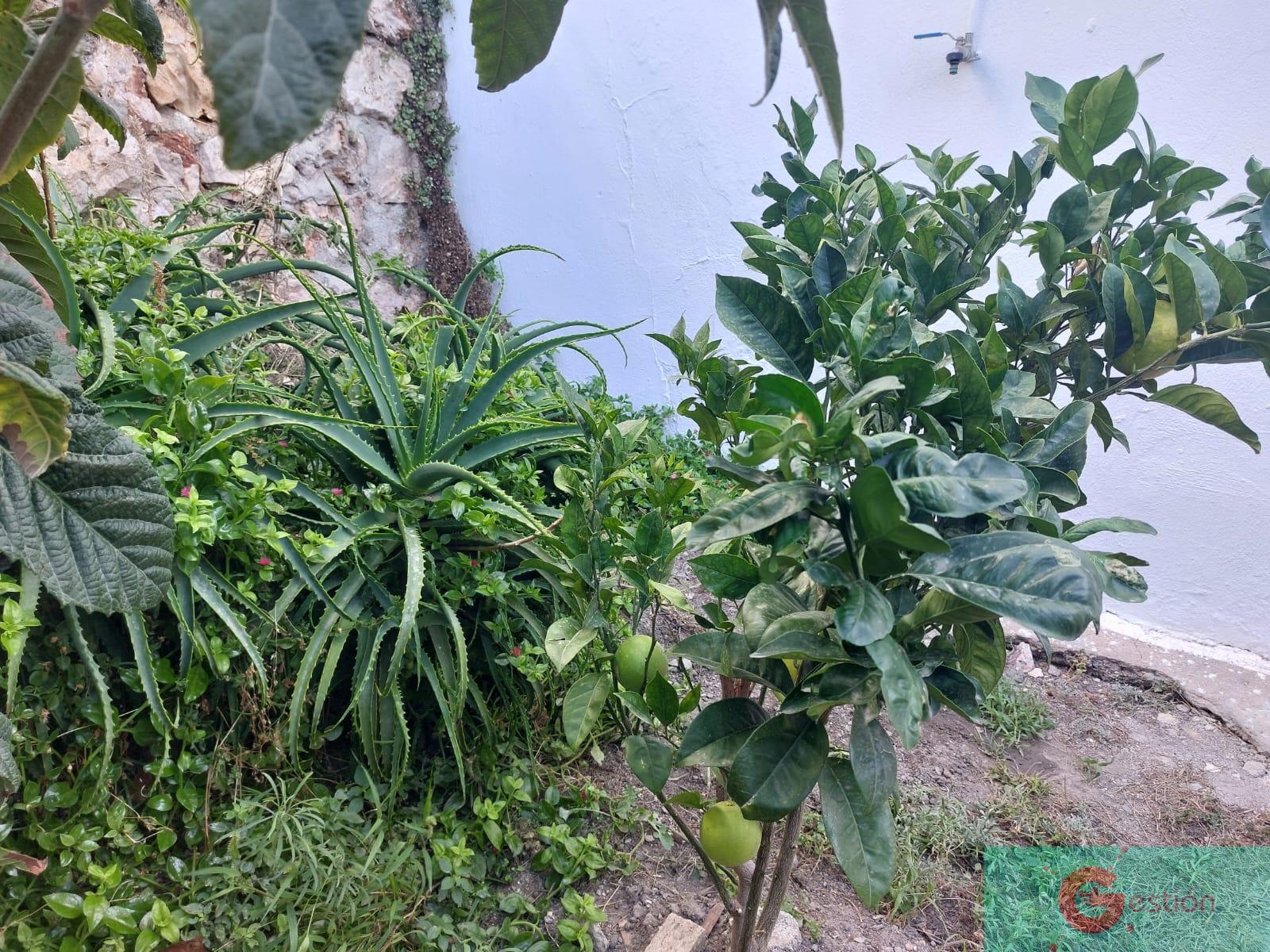 Venta de casa en Salobreña