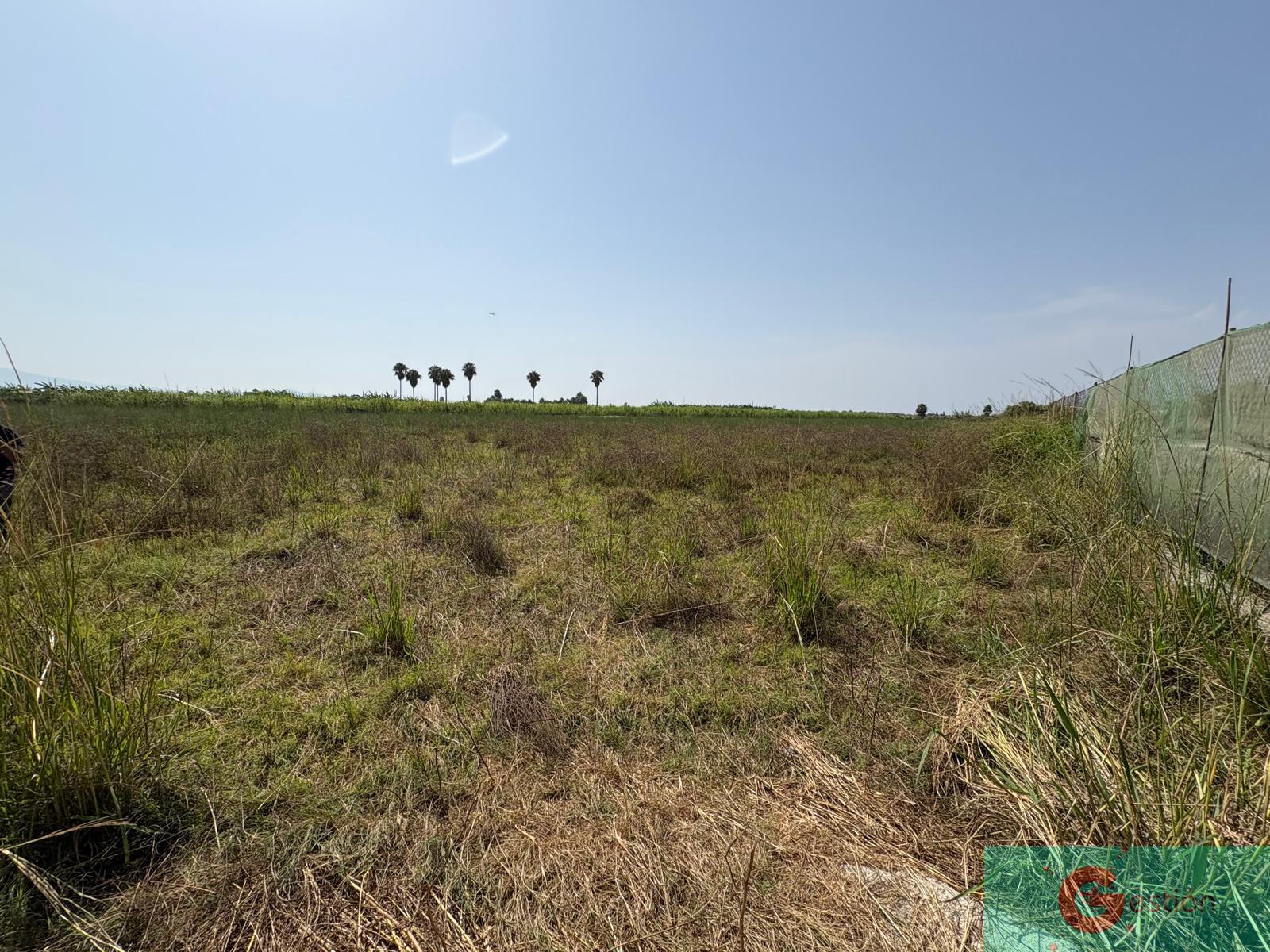 Venta de finca de recreo en Salobreña