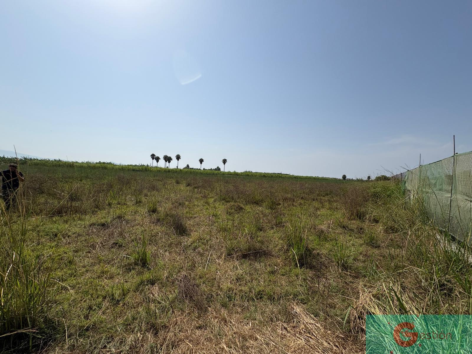 Venta de finca de recreo en Salobreña