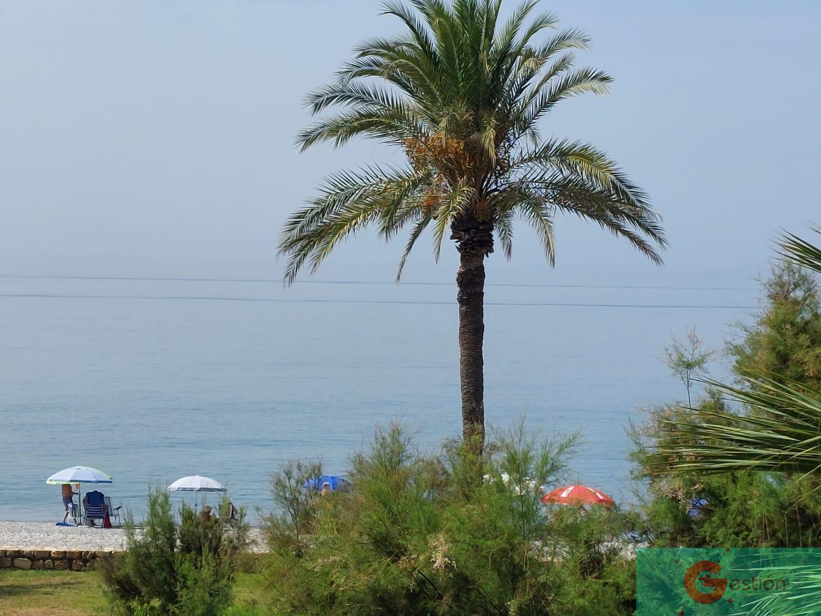 Venta de apartamento en Salobreña